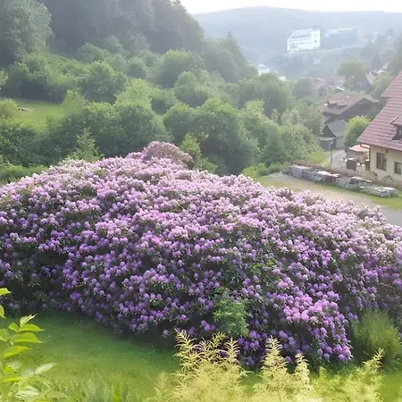 Apartamento Birkenhain Stolberg i. Harz