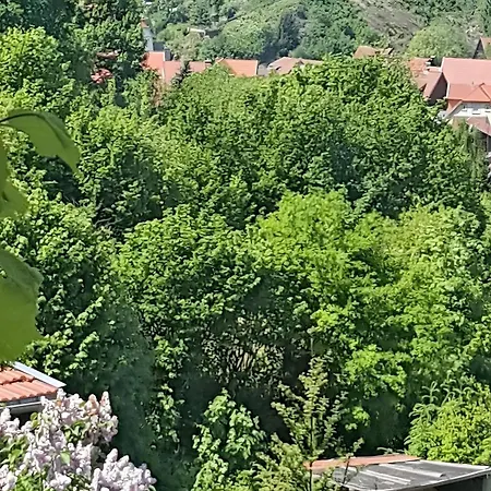 Birkenhain Apartamento *